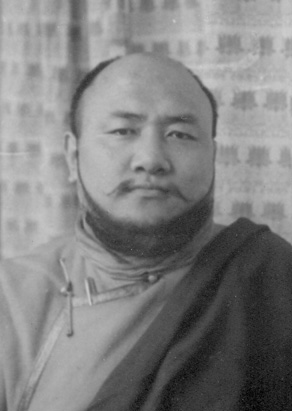 File:Sixth Dzogchen Ponlop Rinpoche.jpg