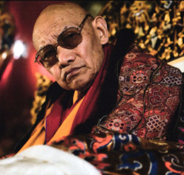 File:Trulshik Rinpoche.png