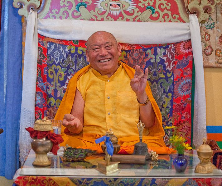 File:Wangdor-Rinpoche-7087.jpg